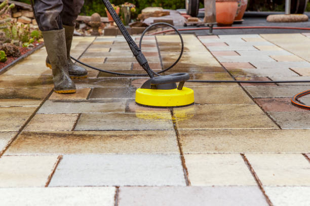 Solar Panel Cleaning in Camden, DE